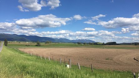 [:de]Nelson ?? – Whitefish ??[:]