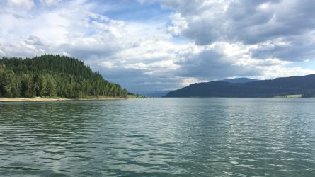 Arrow Lakes und Selkirk Loop – die zweite